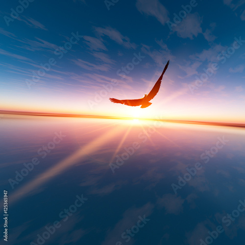 Eagle against horizon sun