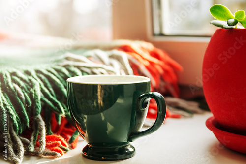 Foto Green tea cup, plaid and red flower pot on the window.
