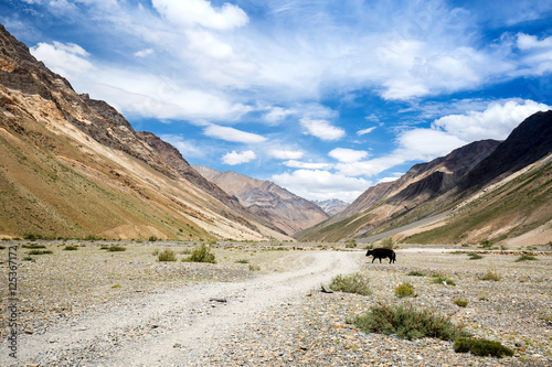 The way to Rangdum, north of India