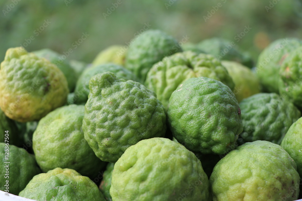 Green bergamot with out leave from the farm Green bergamot with out leave from the farm