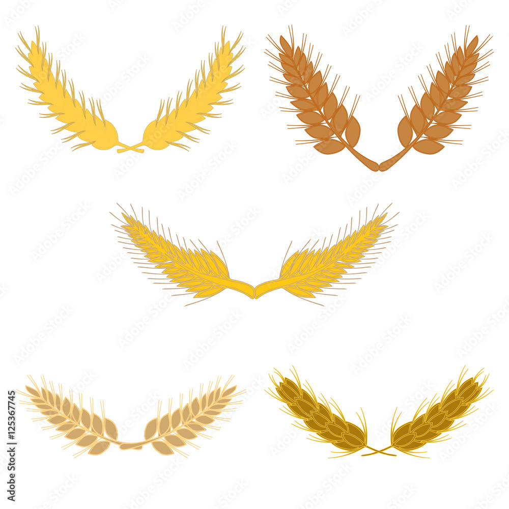 Set of laurel wreath. Collection of floral and wheat branches made in vector