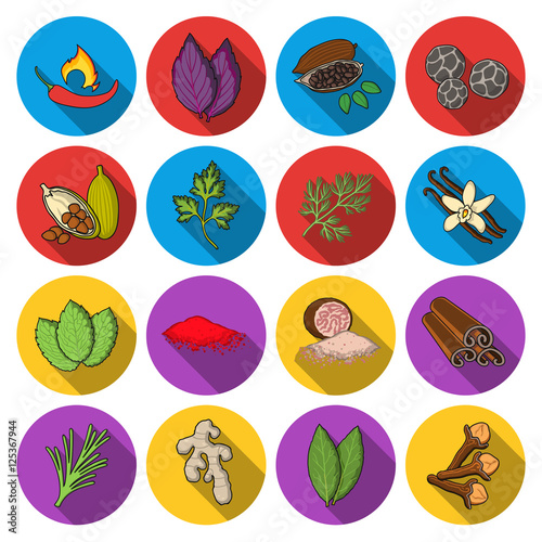 Herb and spices set icons in flat style. Big collection of herb and spices vector symbol stock illustration