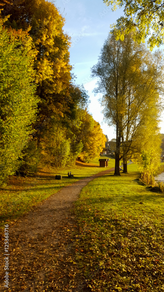 Fototapeta premium Riedener Waldsee Wanderweg im Herbst