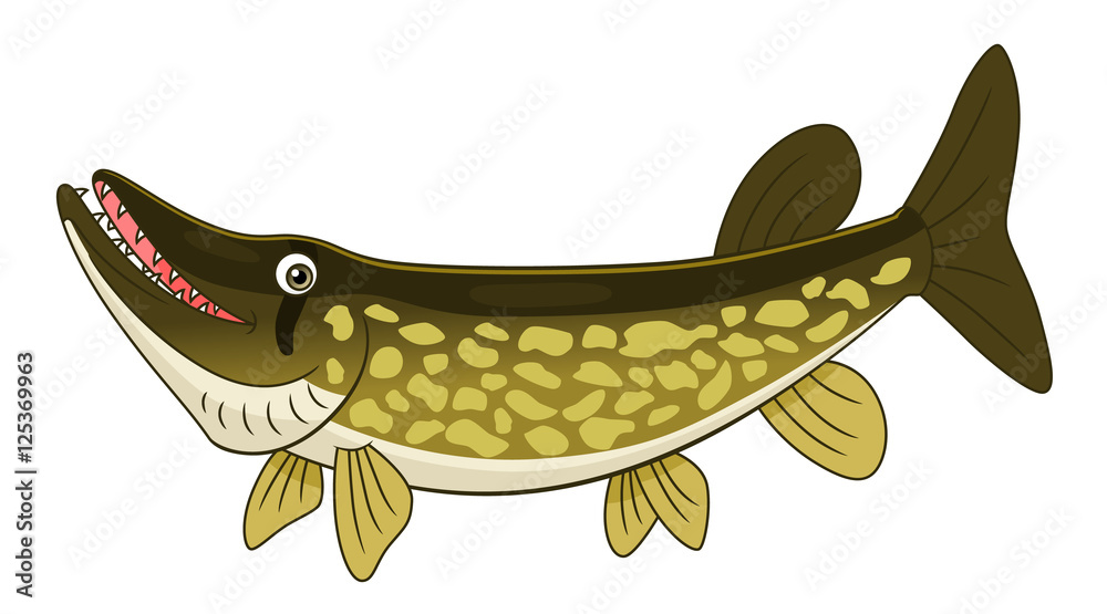 Cartoon chain pickerel Stock Vector Adobe Stock