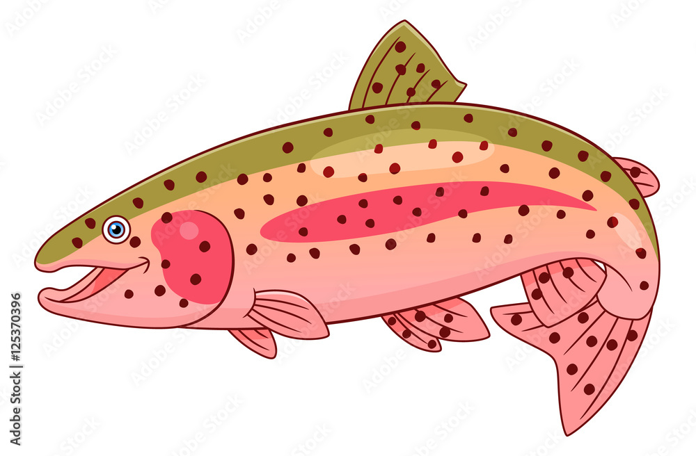 Cartoon rainbow trout Adobe Stock