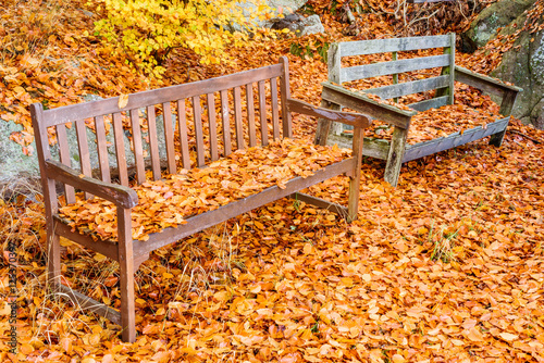 Wooden bench full of dry leaves in fall. © imfotograf