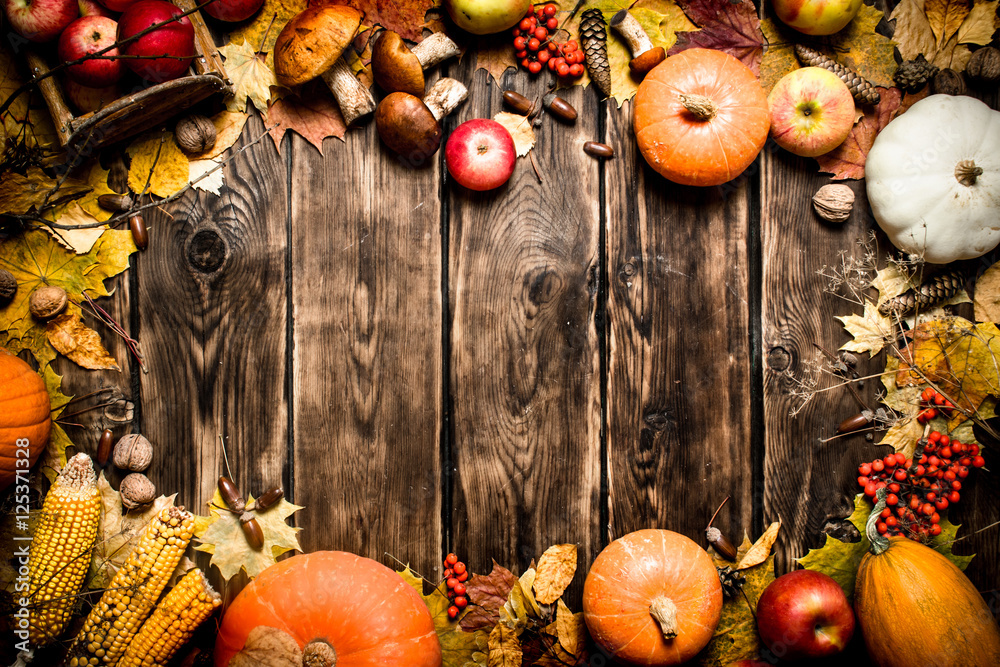 Frame of autumn vegetables and fruits. Frame of autumn vegetables and fruits.