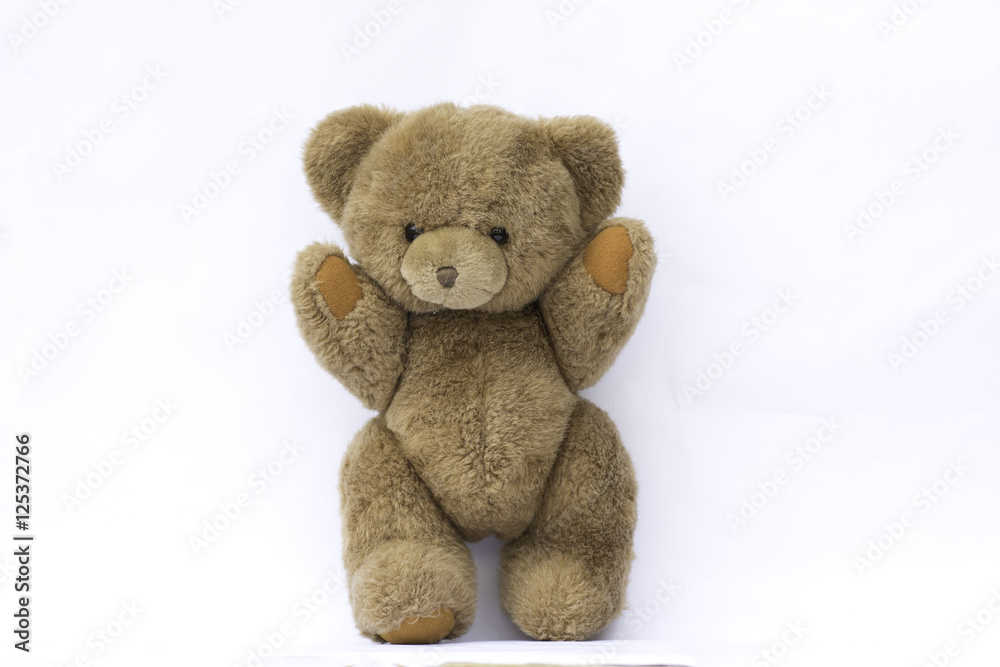 Brown teddy bear on white background.