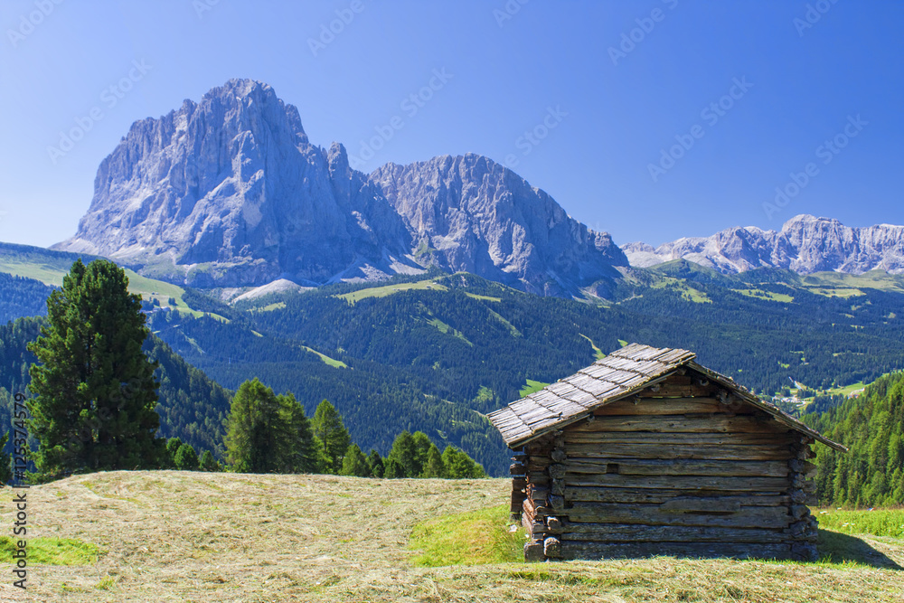 Hut in mountain landscape