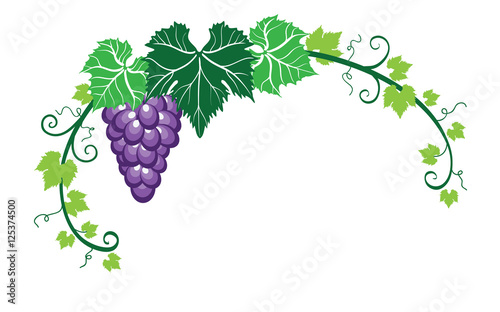 Vine leaves with grapes