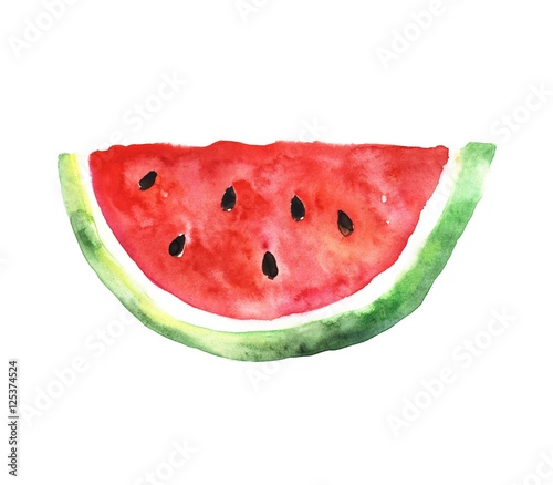 Watermelon slice. Watercolors