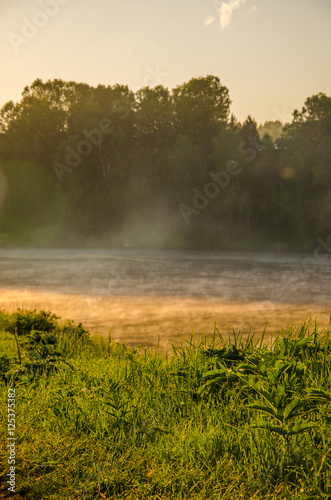 Fototapeta Naklejka Na Ścianę i Meble -  on a green lawn in the early foggy morning
