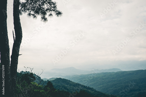 Mountains and tree under mist in the morning. Vintage or retro tone.