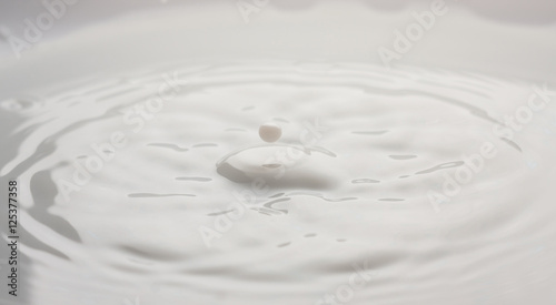 drops splashing milk isolated on white background