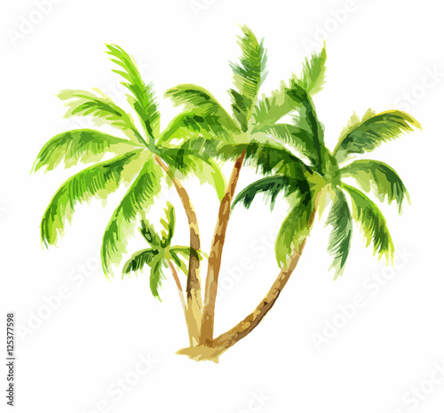 Watercolor palm set on white background. Tropical exotic beach tree for decoration.
