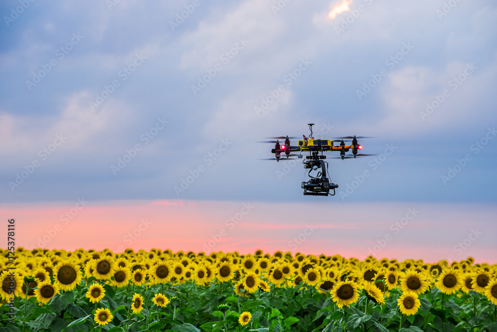 Coaxial octocopter over a field of sunflowers at sunset Coaxial octocopter over a field of sunflowers at sunset