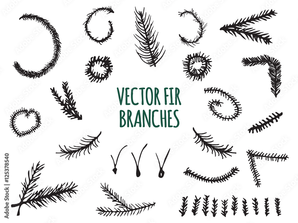 Hand Drawn Fir Branches, Christmas Tree, Vector elements isolated on white background.
