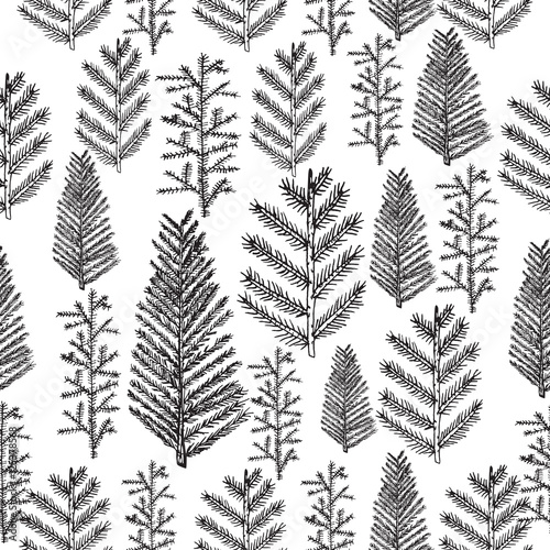 Seamless pattern with christmas tree and pine fir branches, hand drawn vector illustration, winter holiday background