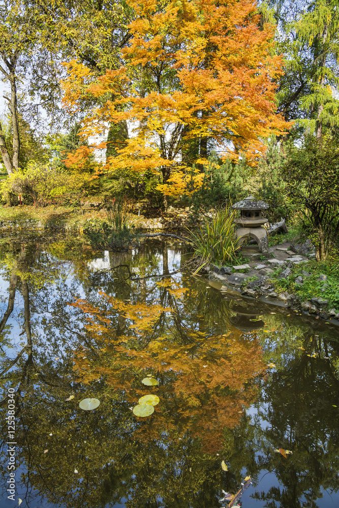 Autumn in Botanical Garden of Cluj, Transylvania, Romania