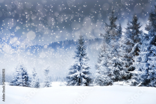 Christmas background with snowy fir trees © salajean