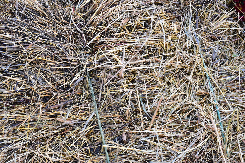 Close up of a haystack