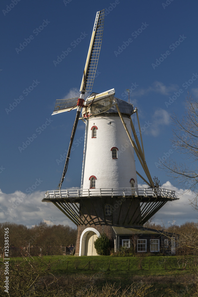 White windmill in Veere 5