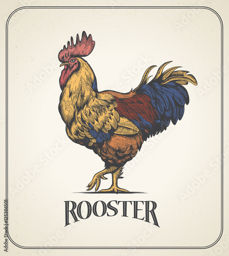 Canvas Print Rooster