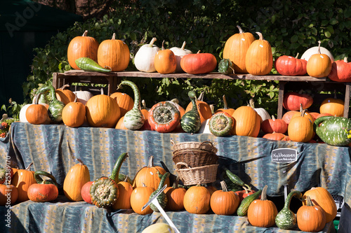 Kürbisse auf einem Herbstmarkt