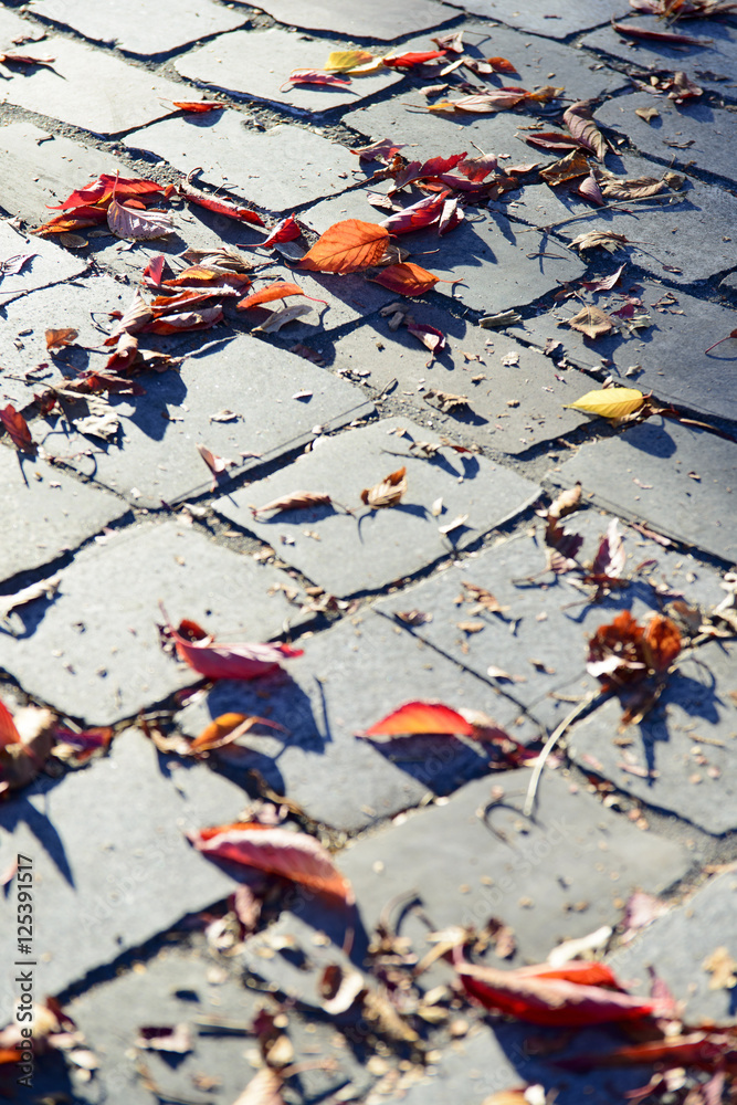 Naklejka premium feuilles d'automne