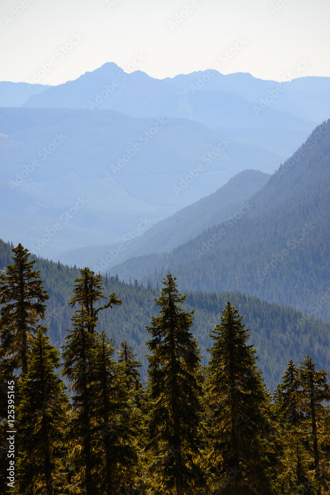 Mount Rainier National Park