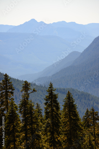 Mount Rainier National Park