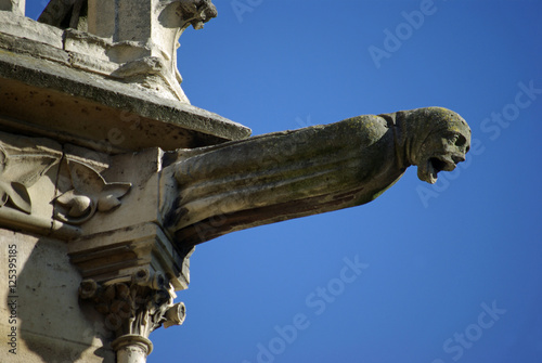 Fotografi Gargouille de Notre-Dame-de-Paris, France