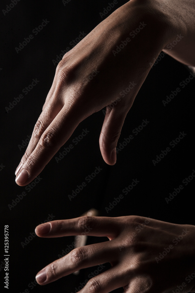 Fototapeta premium Hans Contrasted