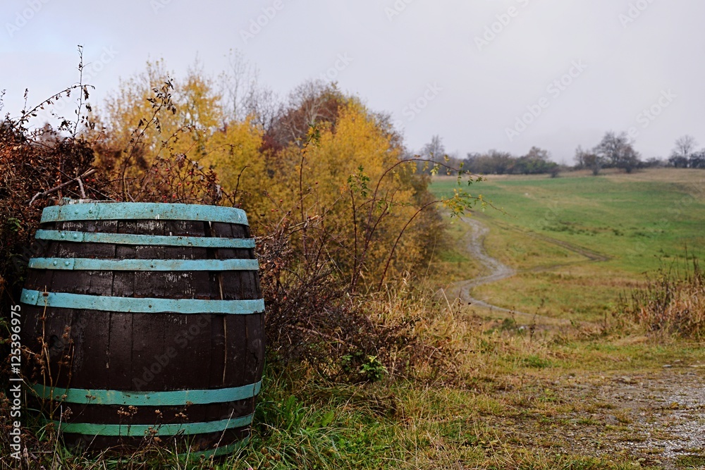 Old wine barrel with blue rims standing near pathway to autumn forest Old wine barrel with blue rims standing near pathway to autumn forest