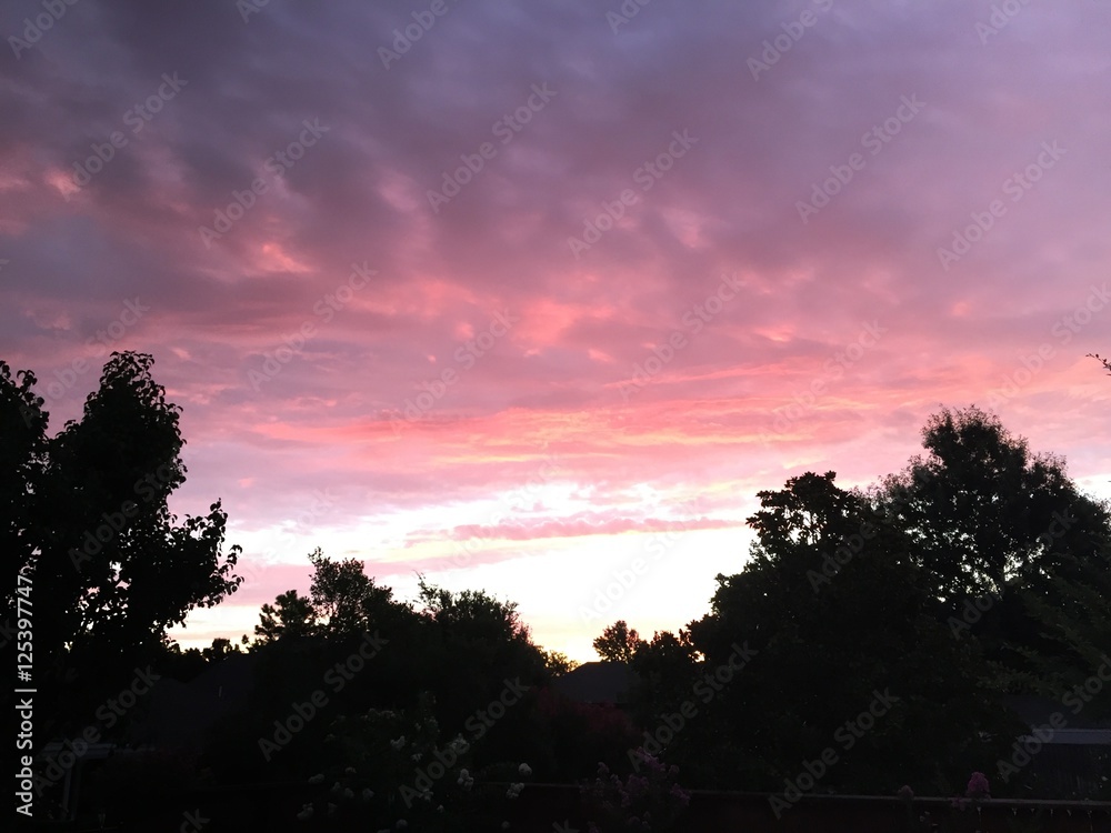 Pink Sunrise Pink Sunrise