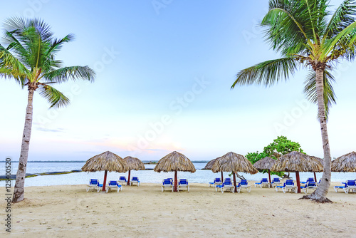 palm beach chaise longue © dbrus