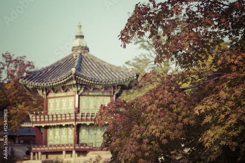 Autumn at Gyeongbokgung Palace in Seoul Korea.
