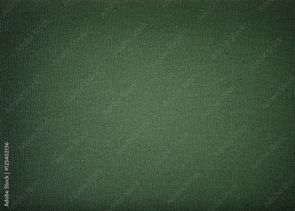 Fototapeta premium Background made of olive cotton