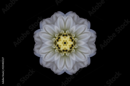 White and yellow symmetrical flower on black
