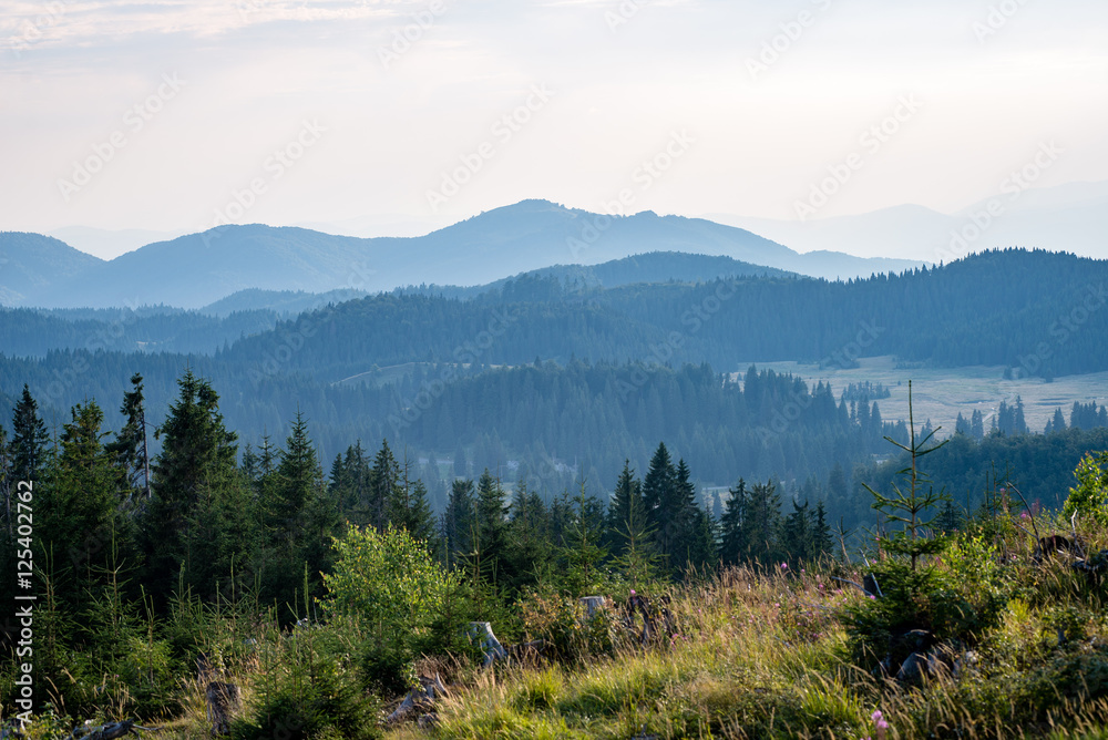View to the carpathian mountains from forest
