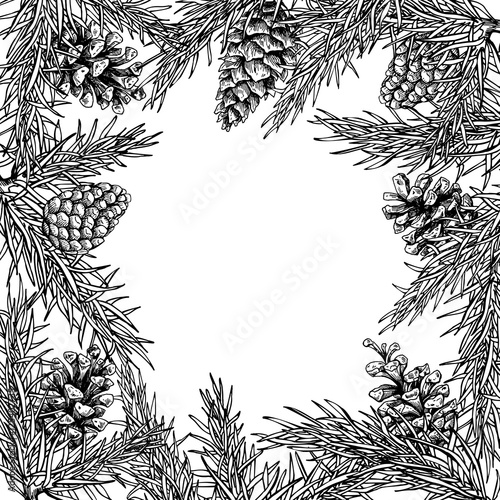 Fir tree and pine cone hand drawn vector square frame for winter