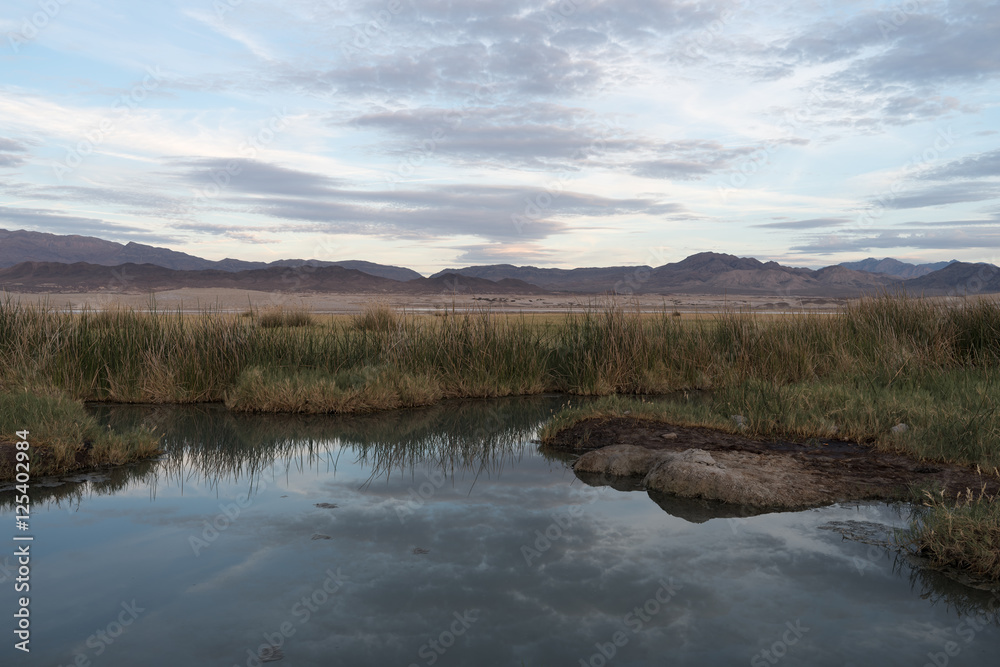 Natural hot pond: a collection of hot springs feed a pond in the open desert adjacent to the small town of Tecopa in Inyo County, California. The pond is popular for mud bathing.
