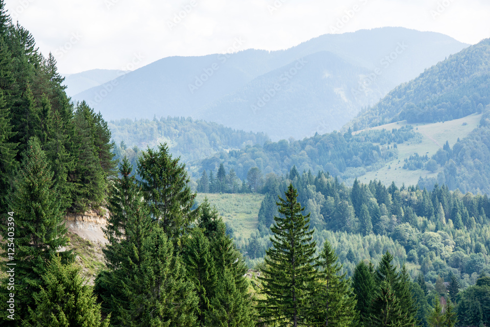 Fototapeta premium View to the carpathian mountains from the top