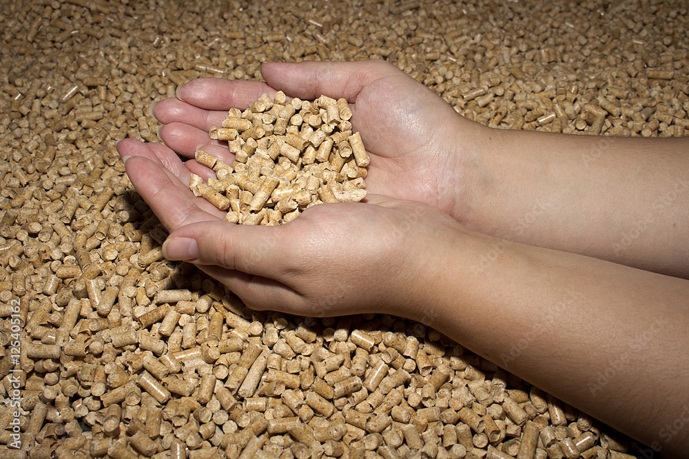 Wood pellets in the background. Biofuels. Cat litter. Female hands. Wood pellets in the background. Biofuels. Cat litter. Female hands.