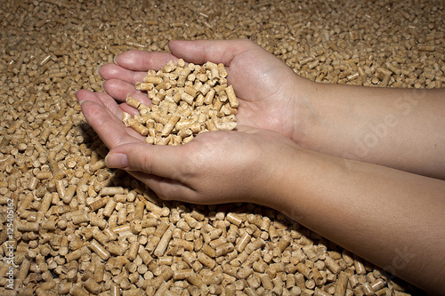 Wood pellets in the background. Biofuels. Cat litter. Female hands.