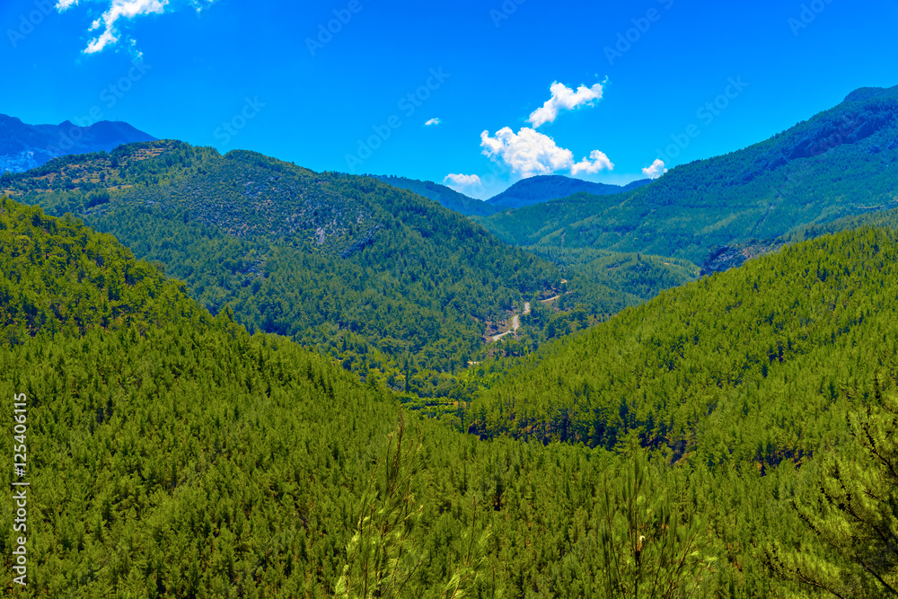 Fototapeta premium View on Green Mountain