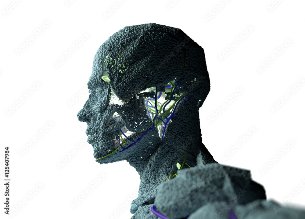Human anatomy model sculpture made from small particles. Exaggerated ...