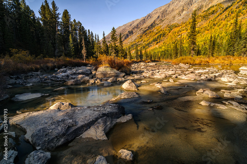 Sunlight lighten large boulders in riverbed of beneaped Multa river. It's flowing between the slopes of the mountains covered with conifers and larch trees in autumn colors, Altai