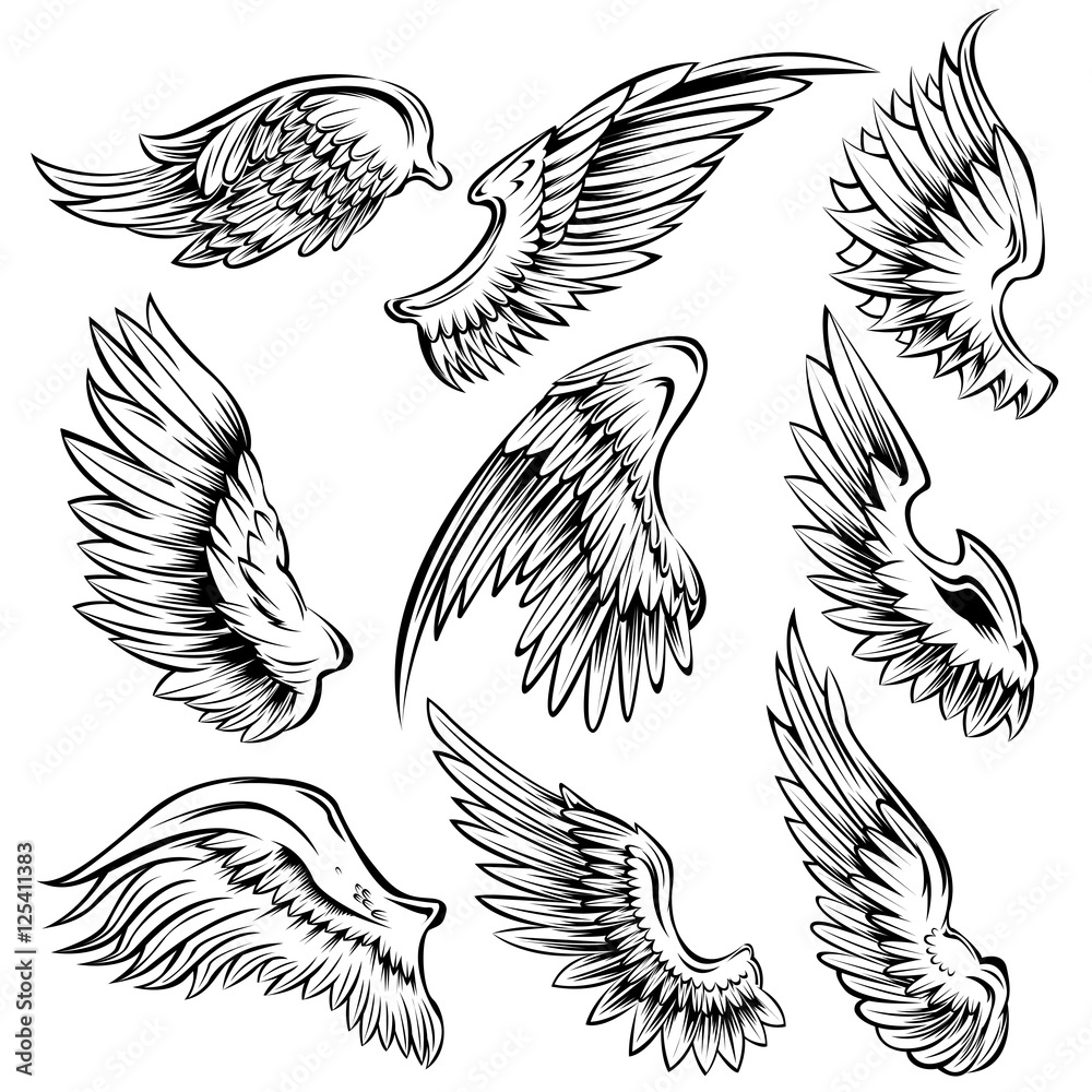 Bird Wings Black White Set Bird Wings Black White Set
