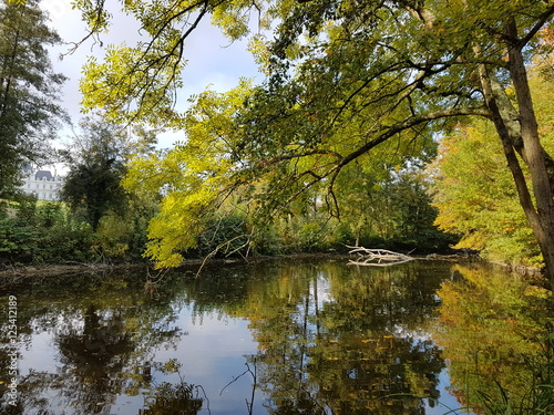 lac entouré de buisson